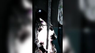 Lady and train (vrchat)