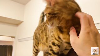 I peeked into her room and the stay at home kitty came up to me! Suddenly the intense pussy licking