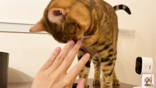 I peeked into her room and the stay at home kitty came up to me! Suddenly the intense pussy licking