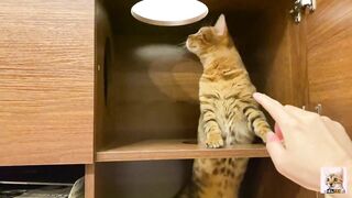 I peeked into her room and the stay at home kitty came up to me! Suddenly the intense pussy licking