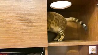 I peeked into her room and the stay at home kitty came up to me! Suddenly the intense pussy licking