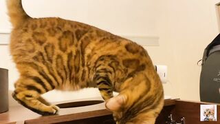 I peeked into her room and the stay at home kitty came up to me! Suddenly the intense pussy licking