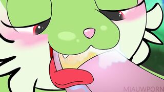 HOT POKEMON BLOWJOB! Rule34 hentai