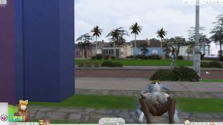 Wolf and Bunny Sims 4 Furry First Day of Summer