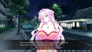 Succubus sexland