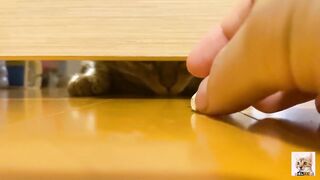 Teen  got a huge food by her hand through hole