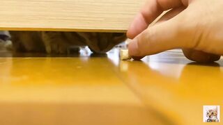 Teen  got a huge food by her hand through hole