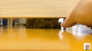Teen  got a huge food by her hand through hole