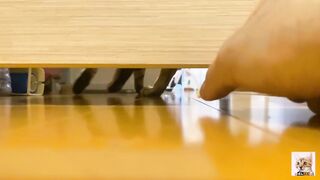 Teen  got a huge food by her hand through hole