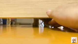Teen  got a huge food by her hand through hole