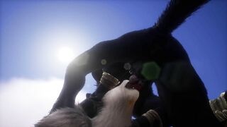 Close yiff sex - Wild Life