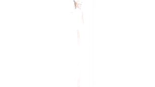 【MMD】Gokuraku Jodo Marie Rose【R-18】