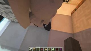 porn in minecraft Jenny | Sexmod 1.2 от SchnurriTV | Tax City of Future | SEUS Renewed shader part 6