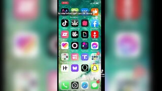 Marco reviews platonic testing of social media apps so you don't have to #vegan
