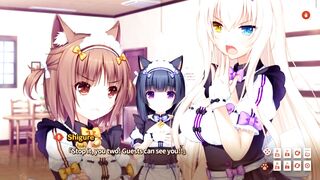 Catgirl Harem Hentai Game Review: NekoPara 2