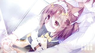Catgirl Harem Hentai Game Review: NekoPara 2
