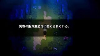 ドM向け♡ドット絵エロアニメーション サキュバス②/エロゲーム実況