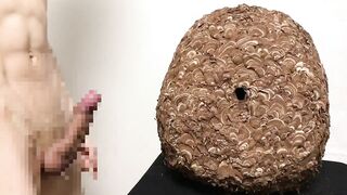 【伝説】スズメバチの巣でオナニーできるか検証してみた! オナニストたけ 変態 素人 勃起 無修正 潮吹き ザーメン 精液 手コキ 亀頭 我慢汁 ホモ まんこ クリ アナル 中出し トイレ 射精 種付け