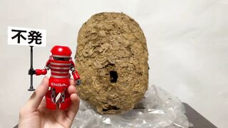 【伝説】スズメバチの巣でオナニーできるか検証してみた! オナニストたけ 変態 素人 勃起 無修正 潮吹き ザーメン 精液 手コキ 亀頭 我慢汁 ホモ まんこ クリ アナル 中出し トイレ 射精 種付け