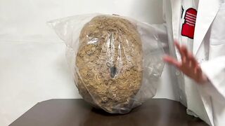 【伝説】スズメバチの巣でオナニーできるか検証してみた! オナニストたけ 変態 素人 勃起 無修正 潮吹き ザーメン 精液 手コキ 亀頭 我慢汁 ホモ まんこ クリ アナル 中出し トイレ 射精 種付け