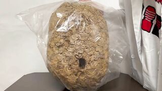 【伝説】スズメバチの巣でオナニーできるか検証してみた! オナニストたけ 変態 素人 勃起 無修正 潮吹き ザーメン 精液 手コキ 亀頭 我慢汁 ホモ まんこ クリ アナル 中出し トイレ 射精 種付け