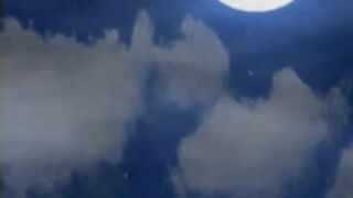 SFM HMV PMV Bible Black