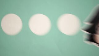 AMV - ZEST - Karton