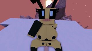 SexCraft Minecraft Mode Game Review With Commentary My Voice 21