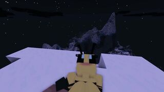 SexCraft Minecraft Mode Game Review With Commentary My Voice 21