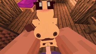 SexCraft Minecraft Mode Game Review With Commentary My Voice 1