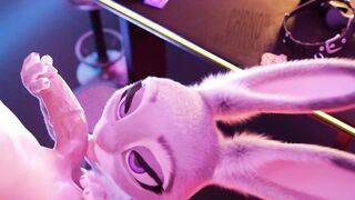 Bunny Blowjob