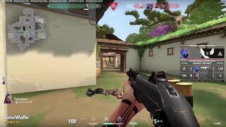Valorant in a Nutshell