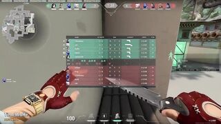 Valorant in a Nutshell