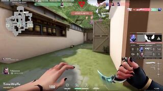 Valorant in a Nutshell