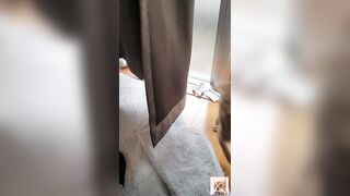 A beautiful kitty