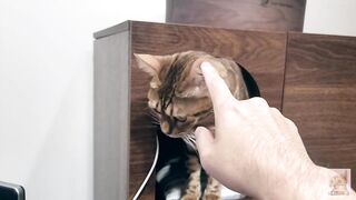 I peek into the room of the Pussy of my dreams, and suddenly the intense play starts ... . She was p
