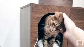 I peek into the room of the Pussy of my dreams, and suddenly the intense play starts ... . She was p