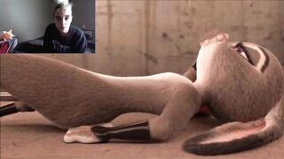 ZOOTOPIA PORN COMPILATION 2022