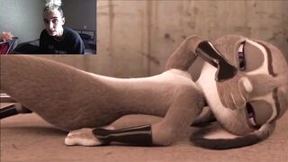 ZOOTOPIA PORN COMPILATION 2022