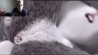 ZOOTOPIA PORN COMPILATION 2022