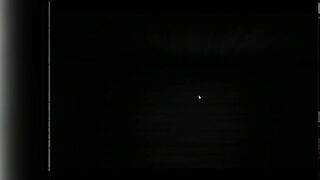 Perditus[Demo v22][Tempy] Furry game."bus mission" The game window does not expand to full screen!