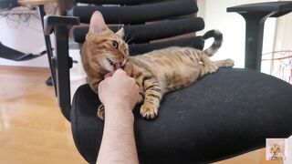 Furry pussy loves to bite you .... It grabs you and won't let go.