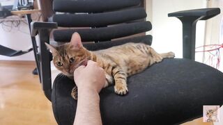 Furry pussy loves to bite you .... It grabs you and won't let go.