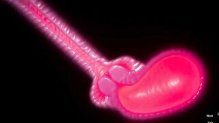 Furry Huge Cum load Neko Huge Cock | Carnal Instinct | 3D