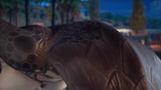 Naga Hard Deepthroat Furry Creampie | Carnal Instinct | 3D