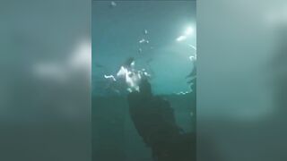 CROCODILE - Defeat 3 enemies while underwater in Wetwork - TLDR Guide -Call of Duty: Modern Warfare