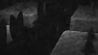 Five nights at Freddy's futanari sex with girl and Foxy