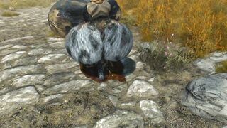 Skyrim Vore Shorts! Messing With The Magician
