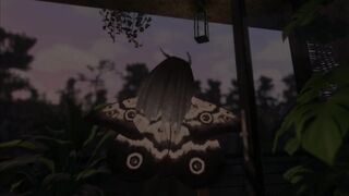 A Moth's New Toy ~ VR Teaser