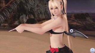 Dead or Alive Xtreme Venus Vacation Marie Rose Valentine's Day Pose Cards Fanservice Appreciation